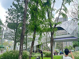 喜师傅不锈钢护栏厂家天桥玻璃护栏案例
